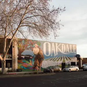 How Misinformation and Partisan ‘New Media’ Changed a California Town