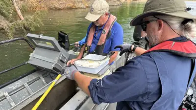 Marine biologists in East Tennessee examine fish counts for the first time since Hurricane Helene