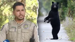 Florida man, 89, and his dog mauled to death by black bear in state's first fatal attack