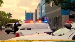 ‘The guy dropped the gun’: Florida man accidentally shoots himself at Walmart, startling weekend shoppers