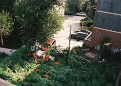 New York City wants to turn vacant lots into pocket parks
