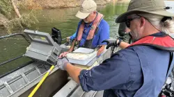 Marine biologists in East Tennessee examine fish counts for the first time since Hurricane Helene
